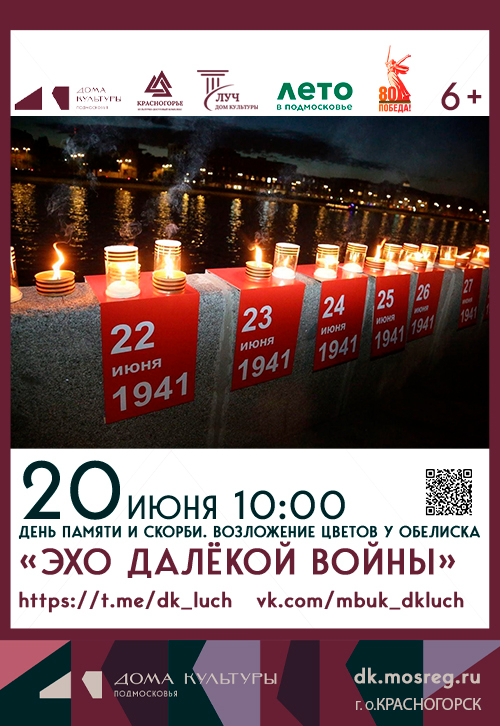 День памяти и скорби «Эхо далёкой войны»