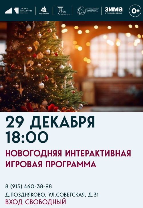 Новогодняя интерактивная игровая программа