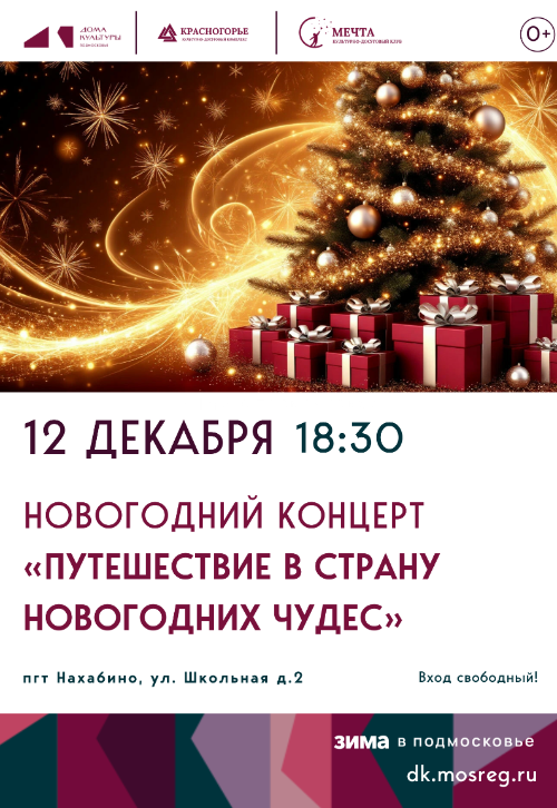 Новогодний концерт клуба «Мечта» «Путешествие в страну Новогодних чудес».